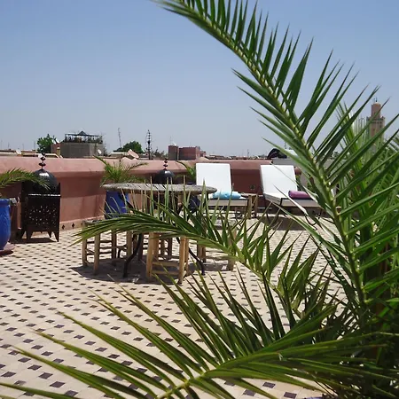 Riad Tahar Oasis-2